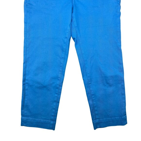 Everlane Womens Cotton Organic Stretch Chino Pants Blue Cropped Casual Size 6 - Picture 5 of 14